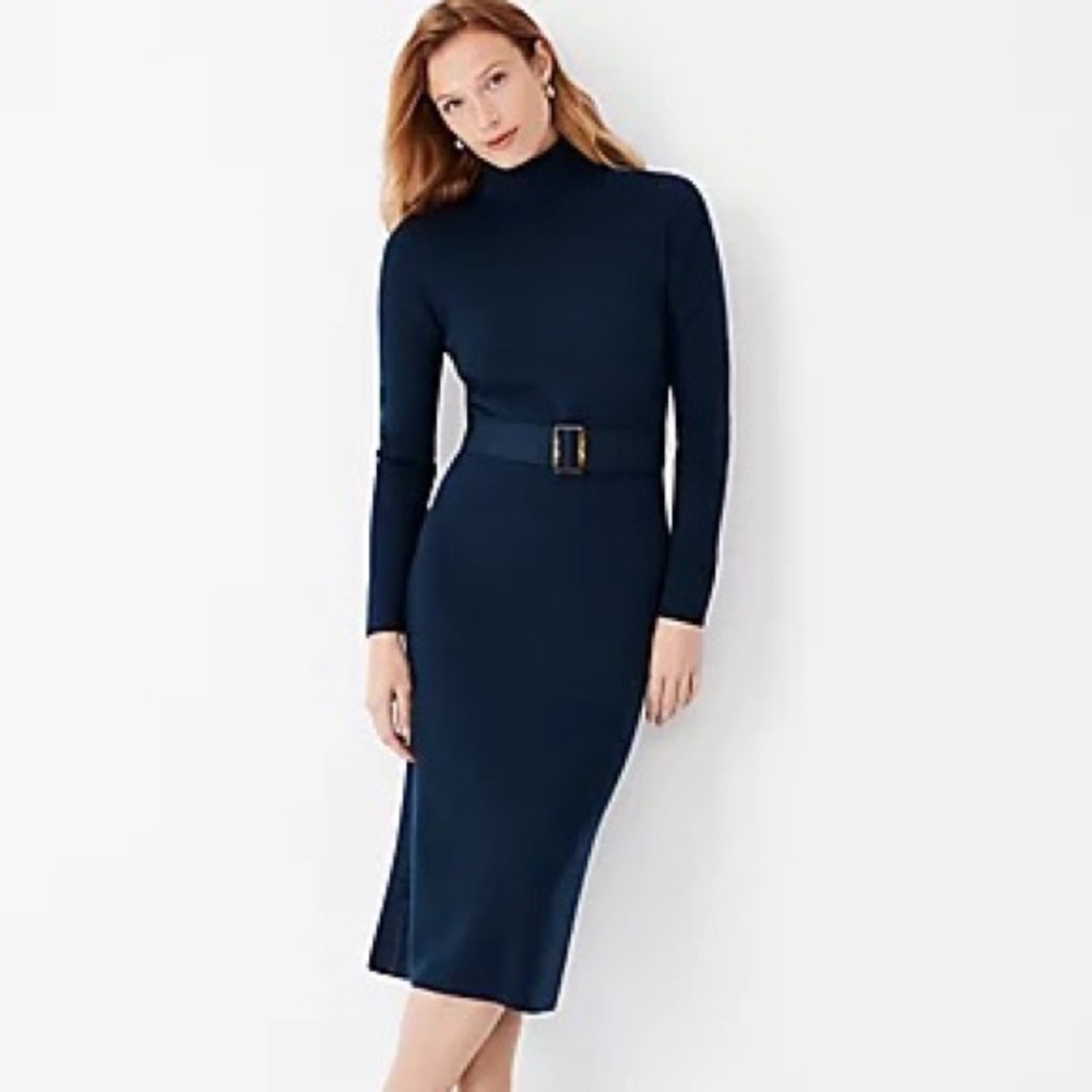 Ann Taylor Belted Turtleneck Sweater Dress